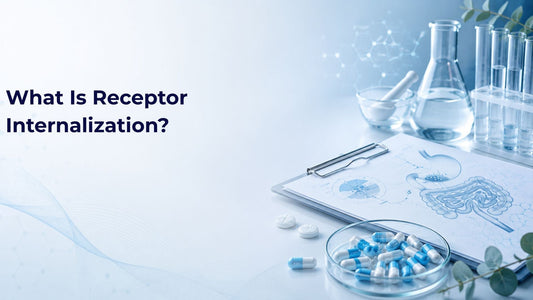 What Is Receptor Internalization?