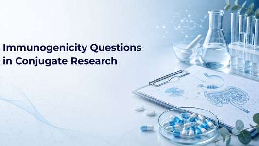 Immunogenicity Questions in Conjugate Research