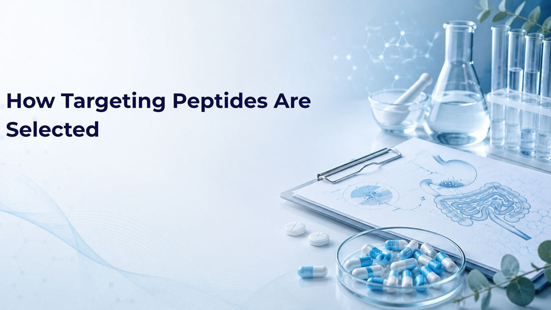 How Targeting Peptides Are Selected