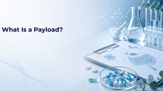 What Is a Payload?