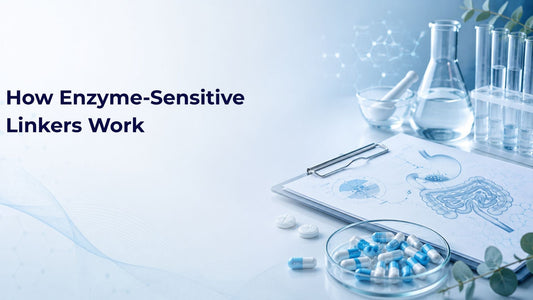 How Enzyme-Sensitive Linkers Work