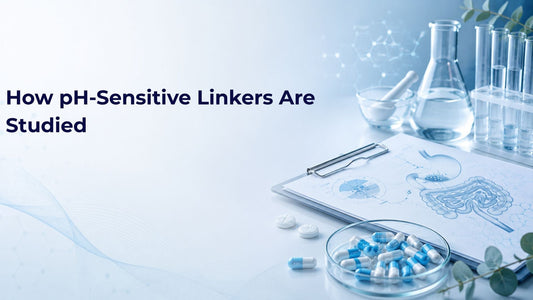 How pH-Sensitive Linkers Are Studied
