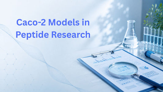 Caco-2 Models in Peptide Research