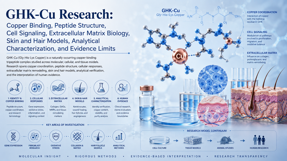 GHK-Cu Research: Copper Binding, Peptide Structure, Cell Signaling, Extracellular Matrix Biology, Skin and Hair Models, Analytical Characterization, and Evidence Limits