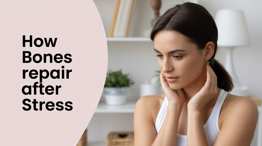 How Bones Repair After Stress