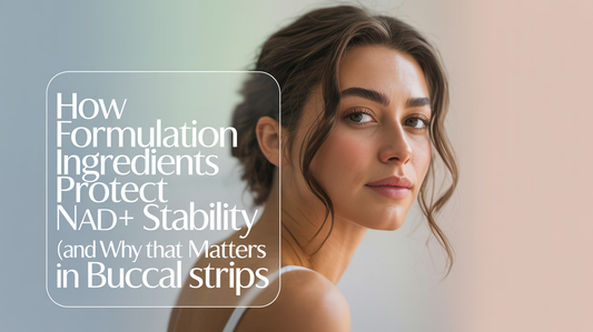 Formulation Ingredients in NAD+ Stability Research: Buccal Film Structure, Moisture Control, and Evidence Limits