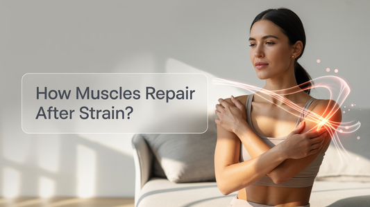 How Do Muscles Repair After a Strain? Inflammation, Satellite Cells, Regeneration, and Remodeling