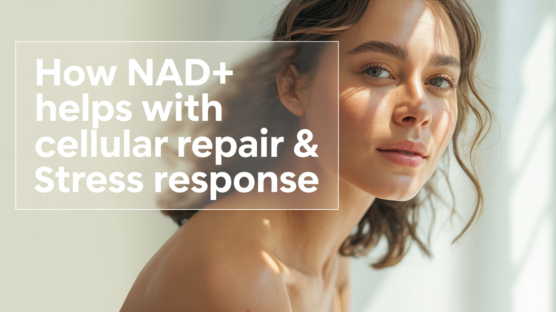 How NAD+ Helps With Cellular Repair & Stress Response