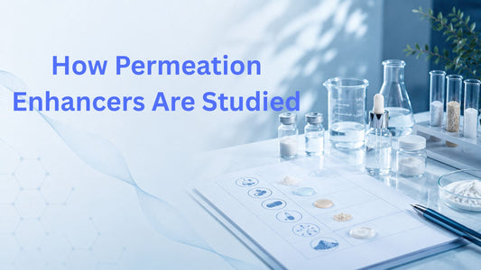 How Permeation Enhancers Are Studied