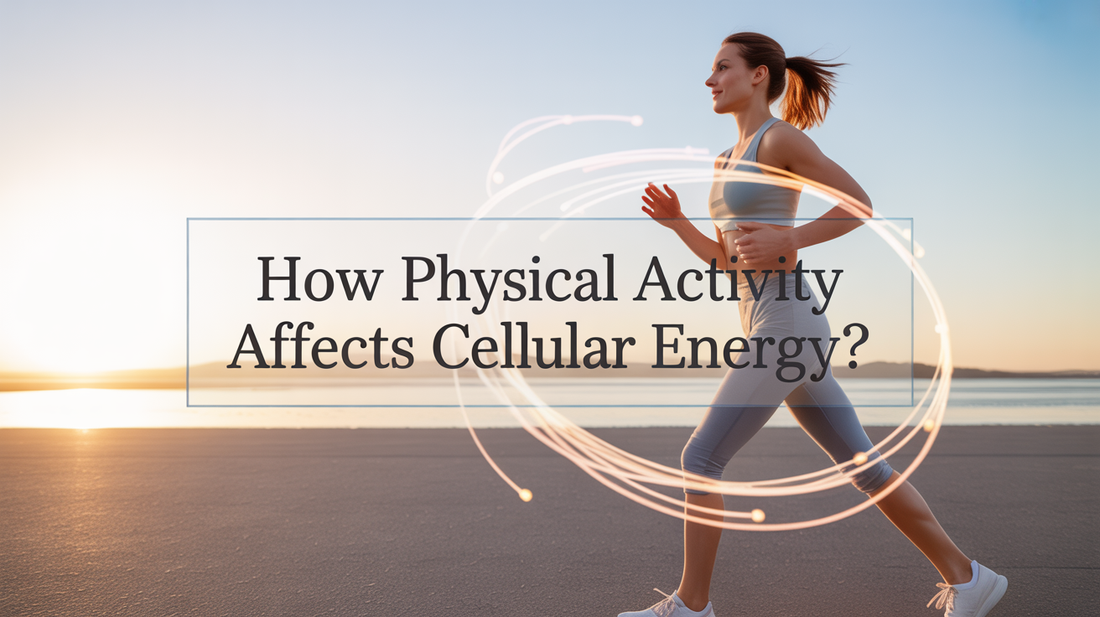 How Physical Activity Affects Cellular Energy?