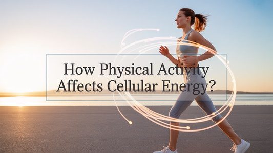 How Physical Activity Affects Cellular Energy?