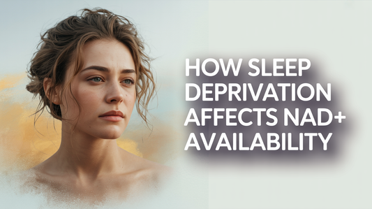 How Sleep Deprivation Affects NAD+ Availability