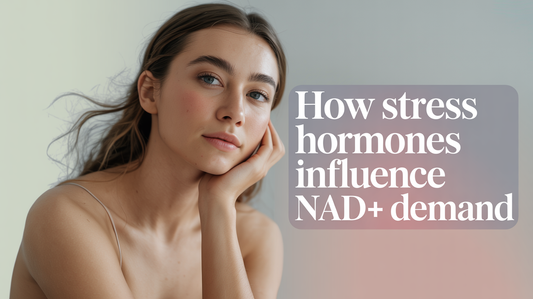 How Stress Hormones Influence NAD+ Demand