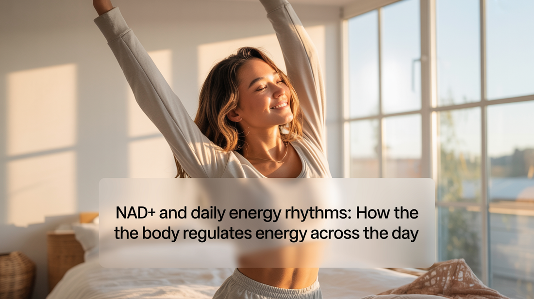 NAD+ and Daily Energy Rhythms: How the Body Regulates Energy Across the Day