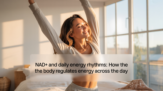 NAD+ and Daily Energy Rhythms: How the Body Regulates Energy Across the Day