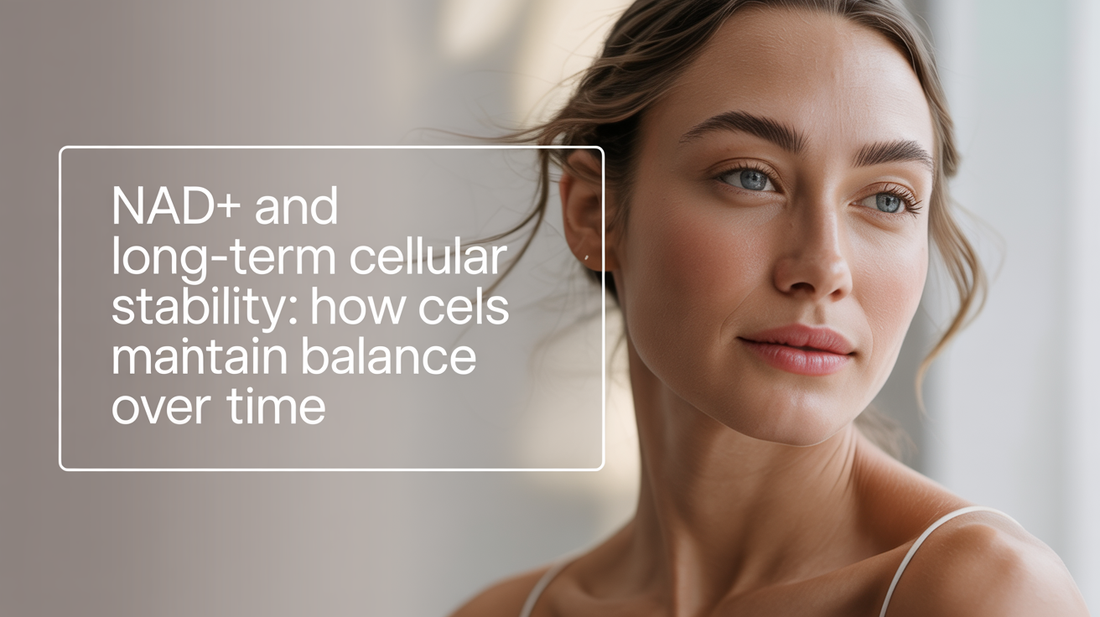 NAD+ and Long-Term Cellular Stability: How Cells Maintain Balance Over Time
