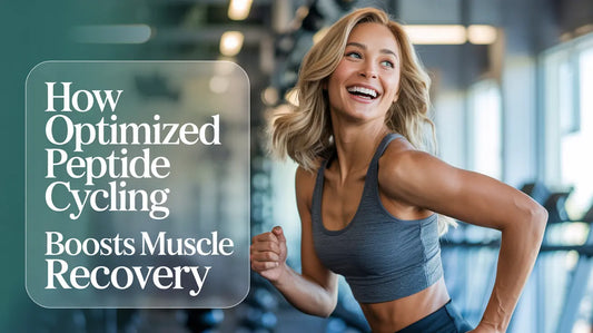 Optimized Peptide Cycling Boosts Muscle Recovery – Here’s How