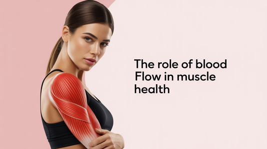 The Role of Blood Flow in Muscle Health