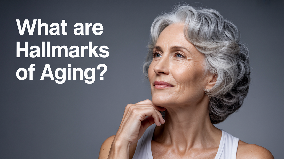 What Are Hallmarks of Aging?