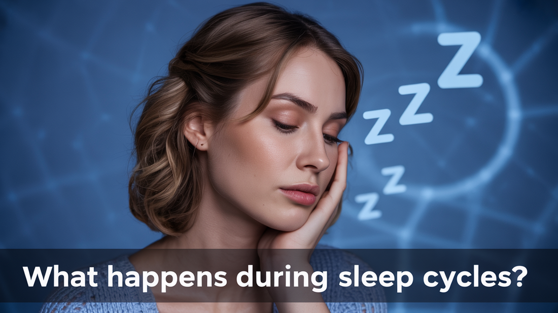 What Happens During Sleep Cycles?