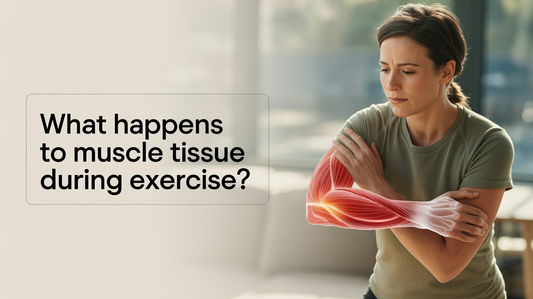 What Happens to Muscle Tissue During Exercise?