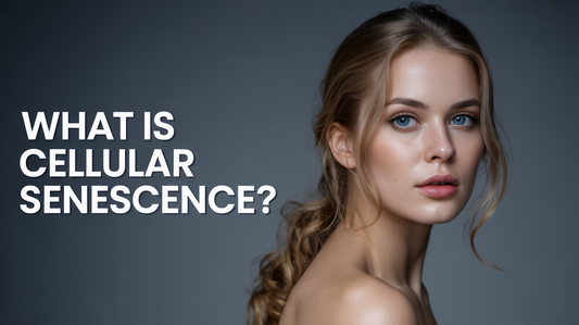 What Is Cellular Senescence? Cell-Cycle Arrest, SASP Signaling, Tissue Remodeling, Aging, and Evidence Limits