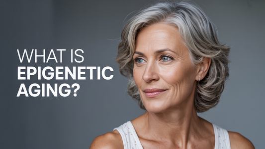 What Is Epigenetic Aging? DNA Methylation, Biological-Age Clocks, Gene Regulation, and Evidence Limits