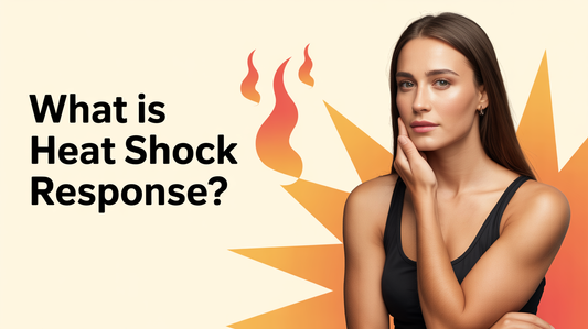 What Is Heat Shock Response?