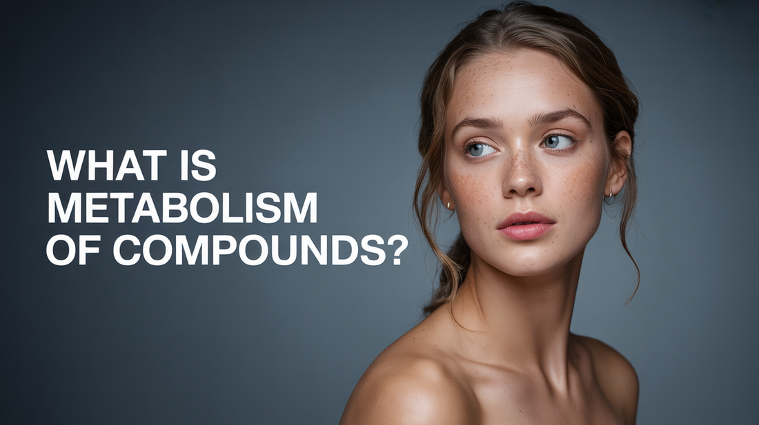 What Is Metabolism of Compounds?