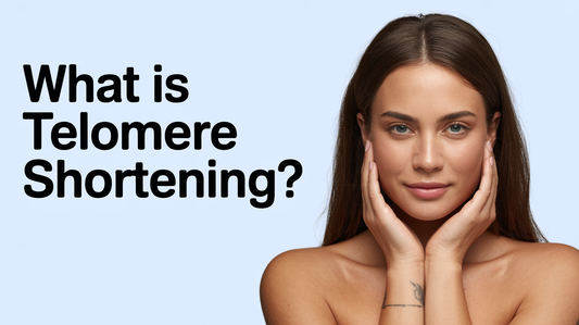 What Is Telomere Shortening? Chromosome-End Protection, Cell Division, Telomerase, Senescence, and Evidence Limits