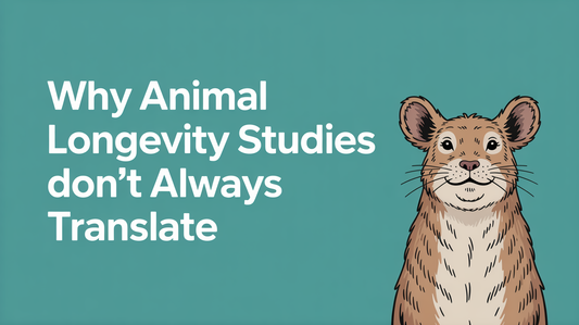 Why Animal Longevity Studies Don’t Always Translate: Species Differences, Study Design, Lifespan Endpoints, Dosing, and Human Evidence