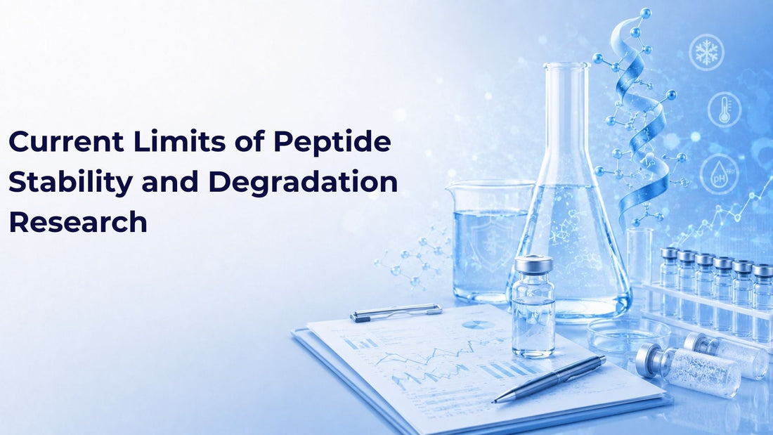 Current Limits of Peptide Stability and Degradation Research