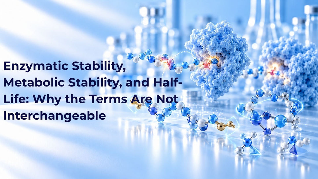 Enzymatic Stability, Metabolic Stability, and Half-Life: Why the Terms Are Not Interchangeable