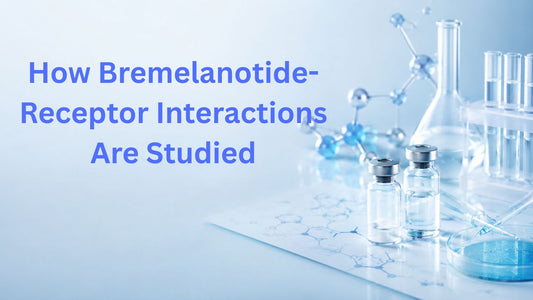 How Bremelanotide-Receptor Interactions Are Studied