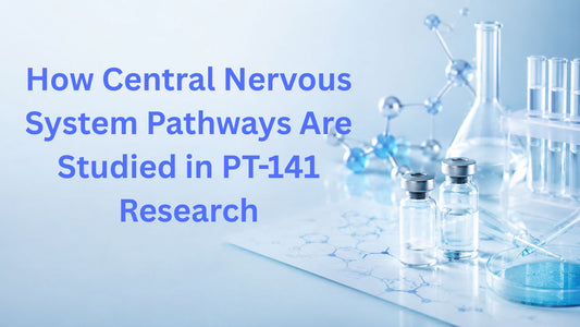 How Central Nervous System Pathways Are Studied in PT-141 Research