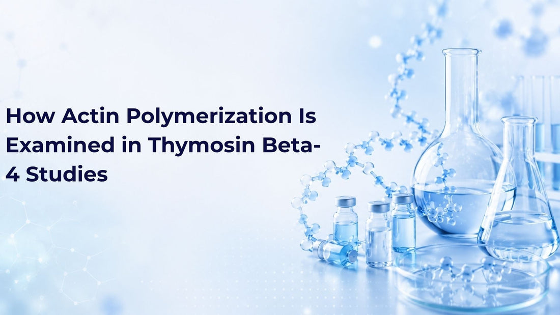 How Actin Polymerization Is Examined in Thymosin Beta-4 Studies