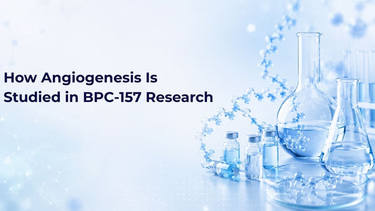 How Angiogenesis Is Studied in BPC-157 Research