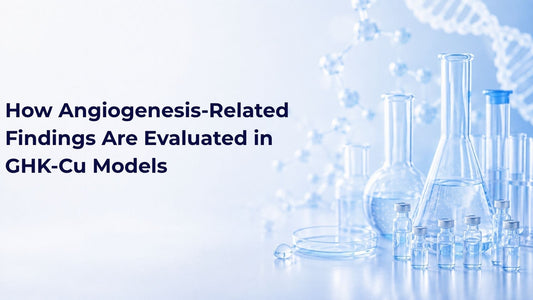 How Angiogenesis-Related Findings Are Evaluated in GHK-Cu Models