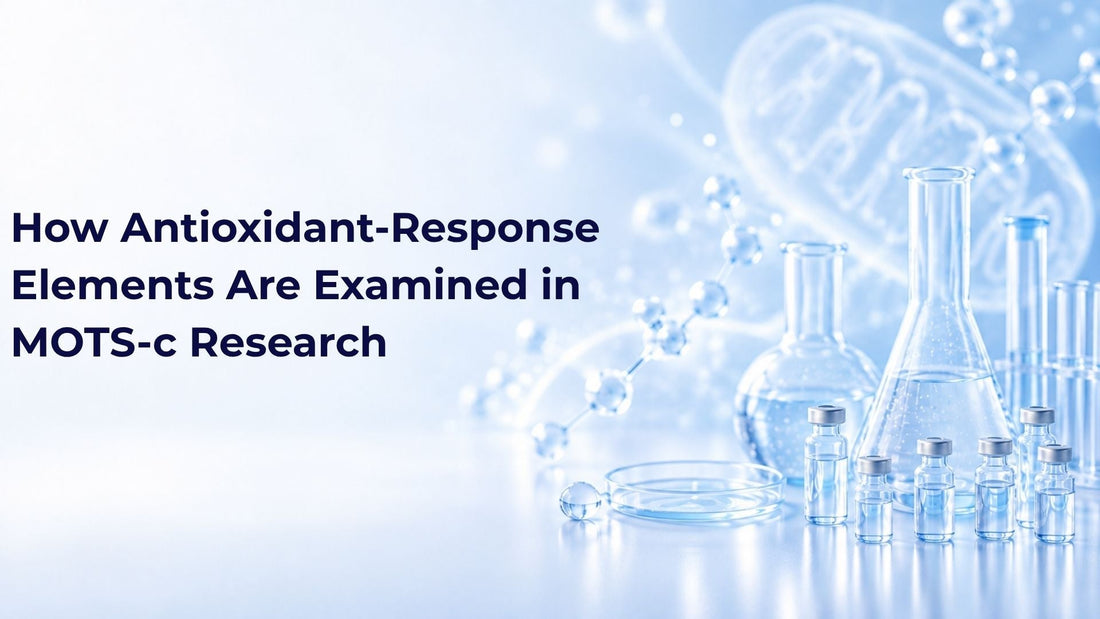How Antioxidant-Response Elements Are Examined in MOTS-c Research