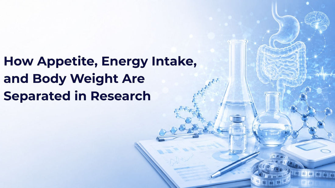 How Appetite, Energy Intake, and Body Weight Are Separated in Research