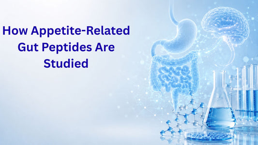 How Appetite-Related Gut Peptides Are Studied