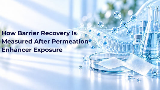 How Barrier Recovery Is Measured After Permeation-Enhancer Exposure