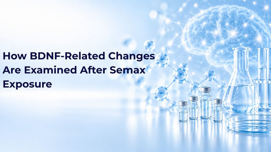 How BDNF-Related Changes Are Examined After Semax Exposure