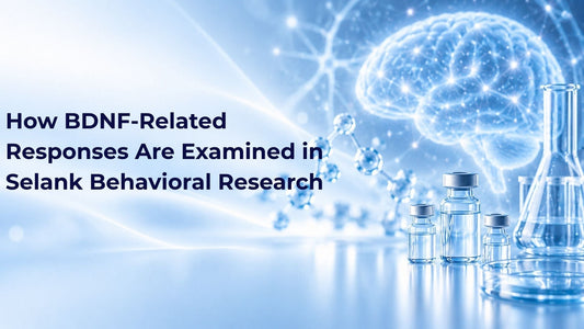 How BDNF-Related Responses Are Examined in Selank Behavioral Research