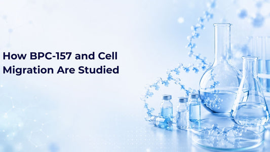How BPC-157 and Cell Migration Are Studied