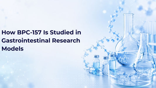 How BPC-157 Is Studied in Gastrointestinal Research Models