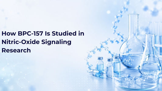 How BPC-157 Is Studied in Nitric-Oxide Signaling Research