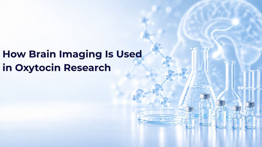 How Brain Imaging Is Used in Oxytocin Research