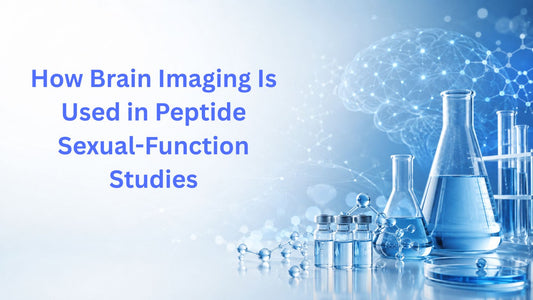How Brain Imaging Is Used in Peptide Sexual-Function Studies