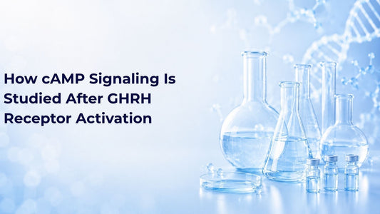 How cAMP Signaling Is Studied After GHRH Receptor Activation